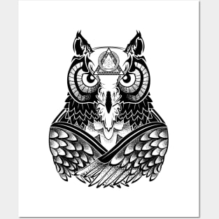 Night Owl Posters and Art
